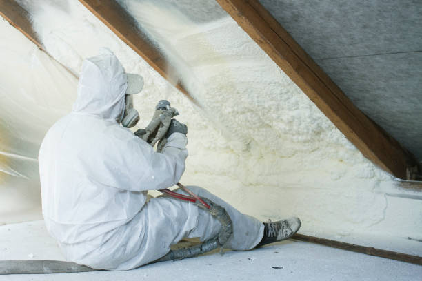 Best Eco-Friendly Insulation Solutions  in Lewisburg, OH